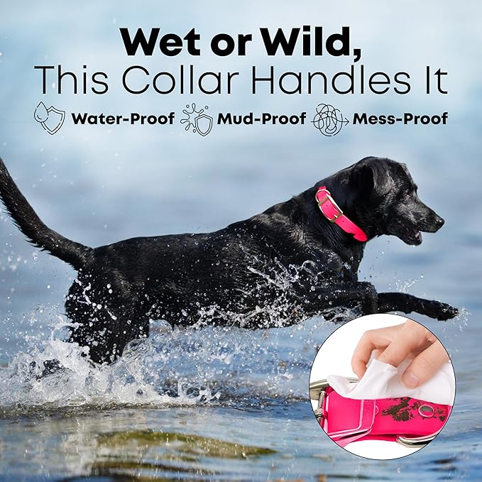 Regal Dog Products Small Pink Dog Collar with Heavy Duty Double Buckle & D Ring | Vinyl Coated, Custom Fit, Adjustable Biothane Dog Collar | Chew Resistant Waterproof Collar for Dogs