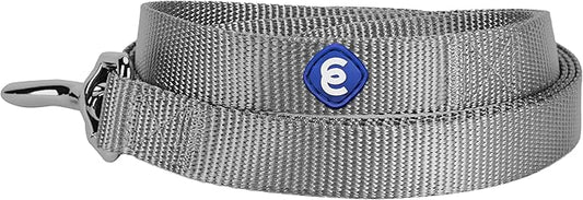 Blueberry Pet Essentials Durable Classic Dog Leash | Basic Nylon Dog Leash | 5ft. x 5/8" Small Dog Leash | Flint Gray Dog Leash | Standard Dog Leashes & Lightweight Dog Leash for Training