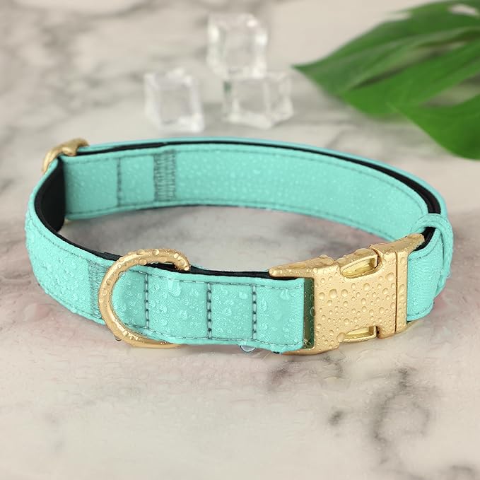 Didog Soft Padded Dog Collars for Small Dogs, Waterproof and Durable Pet Collar with Quick Release Buckle, Light and Breathable for Daily Walking,Green,S(Neck:10-15")