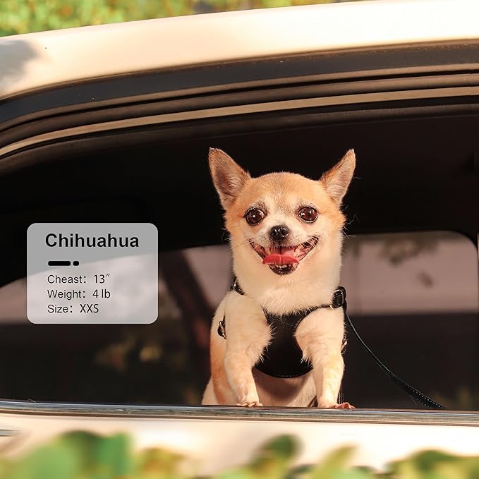 Didog Small Dog Harness and Leash Set, Soft & Lightweight Dog Vest Harness, Adjustable Leather Dog Harness for Small Dogs, Black, XS