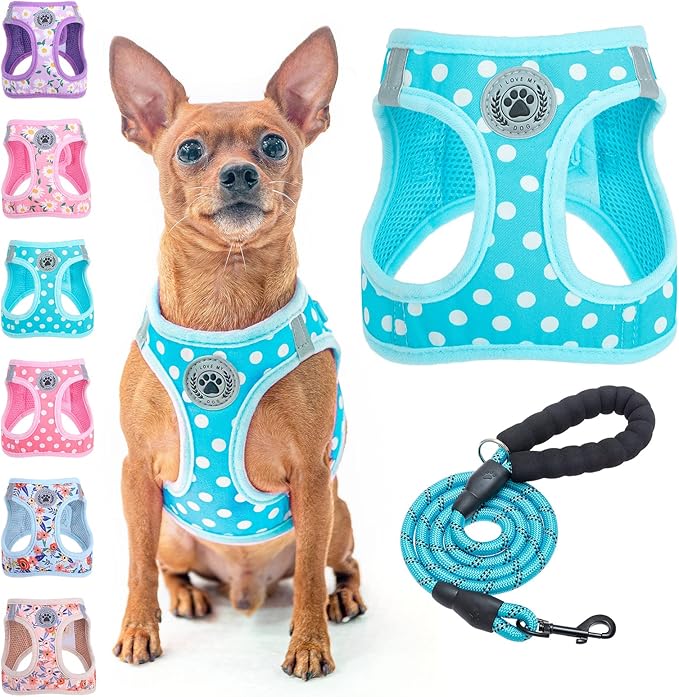 BEAUTYZOO Step in Dog Harness and Leash Set, Polka Dot Pattern Reflective Dog Harness No Pull No Choke Puppy Harness for XXS XS S Dogs Cats, Soft Padded Mesh Vest Harnesses for Girl and Boy Pets