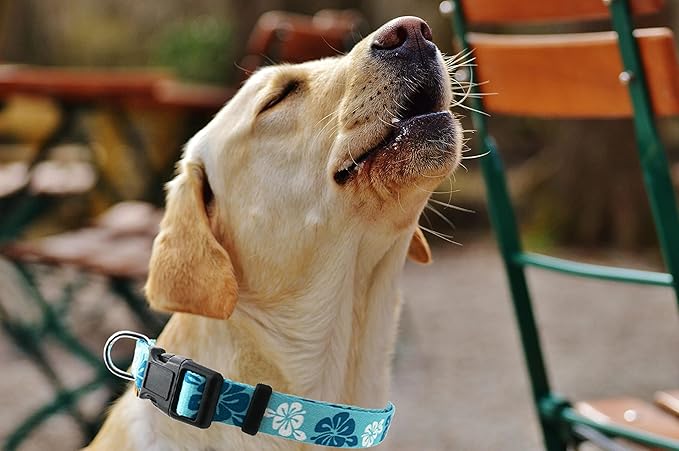 Dog Collar, Cute Floral Pattern, Soft and Adjustable Collar with Quick Release Buckle (L (Neck 16-28", Width 1"), Hawaiian Blue)