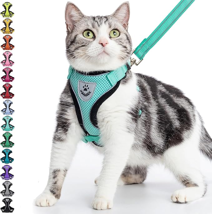 PUPTECK Cat Harness and Leash Set Escape Proof Reflective Cat Walking Harness Adjustable Soft Breathable Mesh Vest for Small Pets, Aquamarine, L