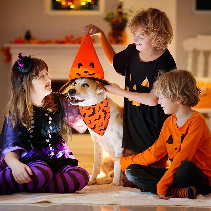 ADOGGYGO Halloween Dog Bandana, Pumpkin Bat Pet Scarf, Premium Durable Fabric, Orange Black Halloween Bandanas for Medium Large Dogs Pets (Large)