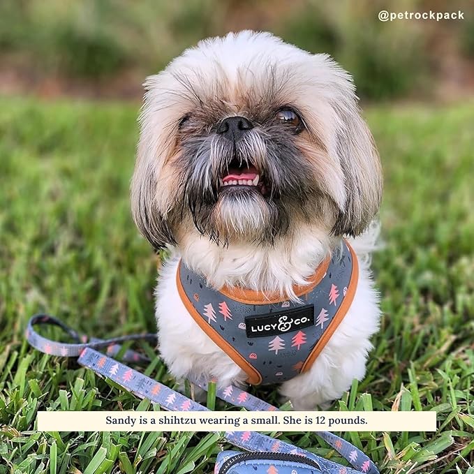 Lucy & Co. Cute Reversible Dog Harness Walking Halter - Best Designer Pet Harnesses for XS - XL Dogs - Padded Adjustable Vest for Easy Walking (X-Large, Neutral Brown Plaid with Blue Trees)