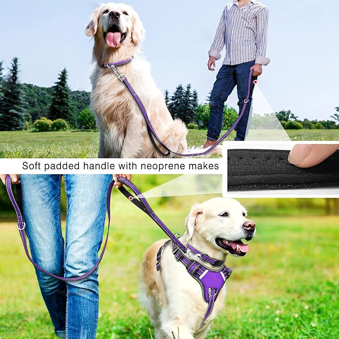 WINSEE Pet Harness Collar and Leash Set, All-in-one Reflective Dog Harness No Pull with Adjustable Buckles for Puppies, Small, Medium, Large, and Extra-Large Dogs (Medium, Purple)