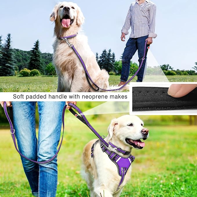 WINSEE Pet Harness Collar and Leash Set, All-in-one Reflective Dog Harness No Pull with Adjustable Buckles for Puppies, Small, Medium, Large, and Extra-Large Dogs (X-Large, Purple)