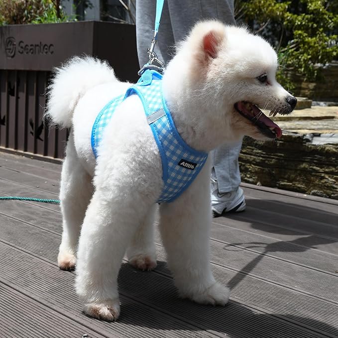 AIITLE Adjustable Dog Harness and Leash Set, Step in No Pull Pet Harness, Soft Mesh Reflective Plaid Vest Harnesses for Small Dogs Puppy and House Cats Outdoor Walking Running Blue XS