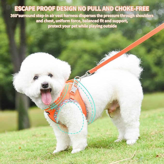 AIITLE Dog Harness and Leash Set - Ultra-Comfortable XXS-XL Vest with Strong Velcro & Glow-in-Dark Reflective Strips, Chafe-Free for Teddy, Schnauzer (Orange, M)
