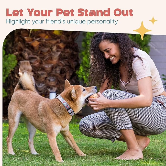 Dog Collar for Medium & Large Dogs - Rose Flowers Cotton Padded Pattern on Long Lasting, Adjustable, Strong and Durable Collars - Choose from Stunning Patterns and Colors