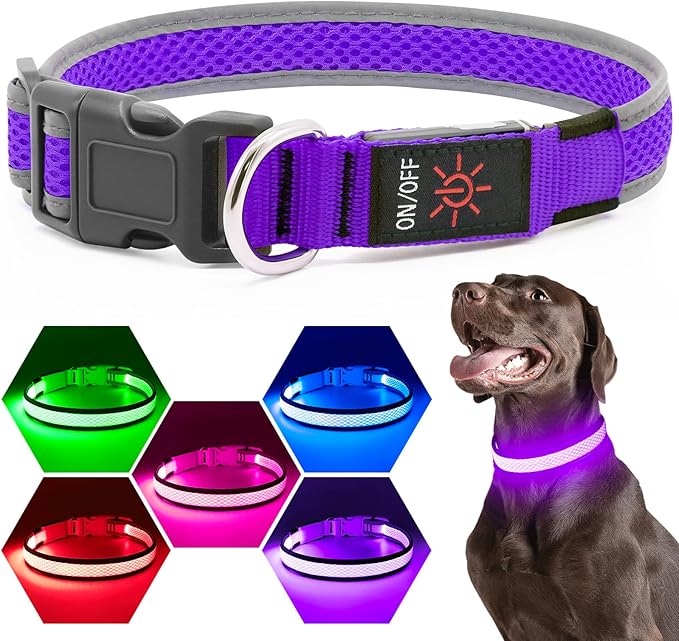 Flashseen LED Dog Collar, Light Up Dog Collar Light USB Rechargeable, Adjustable Comfortable Soft Mesh Safety Dog Collar for Small, Medium, Large Dogs(Large, Purple)