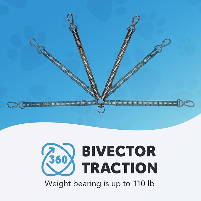 Double Dog Leash – Adjustable Length Long Leash for Dog Training – Dual Reflective Dog Leash with Non-Tangle Design – Heavy Duty Nylon and Metal Buckles – Ideal (Black, Large)