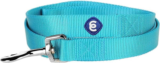 Blueberry Pet Essentials 19 Colors Durable Classic Dog Leash 5 ft x 3/4", Medium Turquoise, Medium, Basic Nylon Leashes for Dogs
