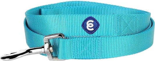 Blueberry Pet Dog Leash - Puppy Essentials & Dog Leashes, Small for Small Dogs | Durable 5ft x 5/8" Turquoise Nylon Leash | Premium Pet Safety & Style with Eco-Friendly Design