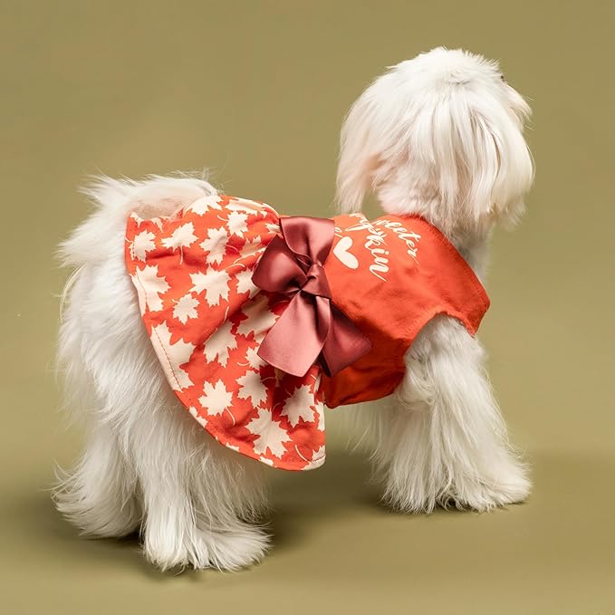 Fitwarm Thanksgiving Sweeter Than Pumpkin Pie Dog Dress 100% Cotton Puppy Costumes Pet Clothes Holiday Girl One-Piece Doggy Outfits Tank Top Vest Dresses Cat Apparel Orange XXS