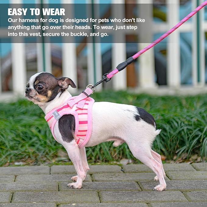 BEAUTYZOO Dog Harness and Leash Set for Small Dogs,No Pull Step-in Harness for Puppy XS S Sized Dogs and Cats,Air Mesh Adjustable Breathable Soft No Chock Escape Proof Vest Harnesses,Striped Pink S