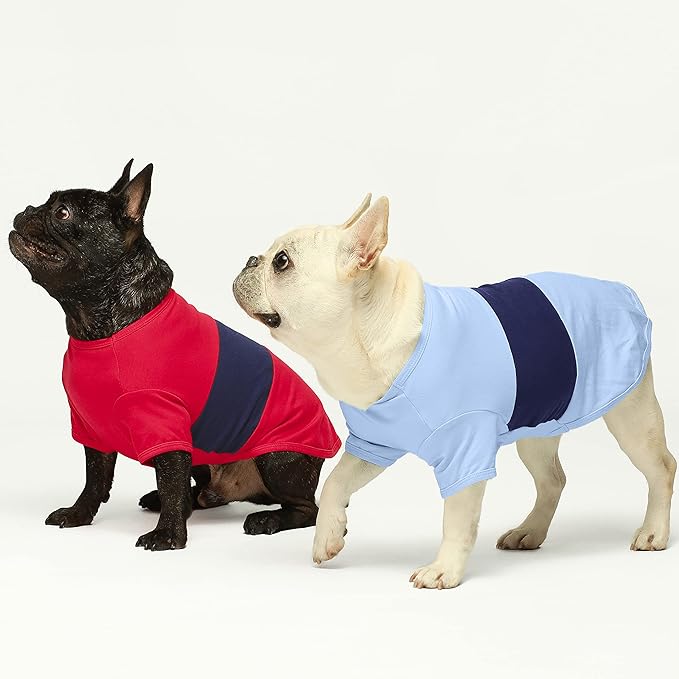 Fitwarm 3 Pack Color Block Striped Dog Shirt, Summer Dog Clothes for Small Dogs, Breathable Lightweight Pet Tshirt with Sleeves, Cat Outfit, Red, Blue, Grey