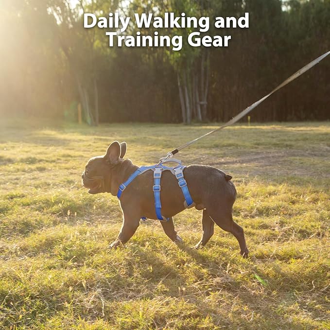 Escape Proof Dog Harness, No Pull Reflective Harness with Lift Handle,Adjustable Pet Vest with Front and Back Leash Clips for Small Medium Large Dogs Walking Hiking Training (Sea Blue,L)