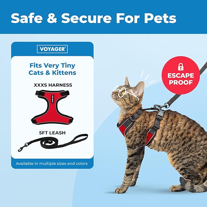 Voyager Escape Proof Cat Harness and Leash Set with Reflective Stitching, Neoprene Handle 5ft - Supports Small, Medium and Large Cats, Kittens for Walking by Best Pet Supplies - Black Trim-Red, XXXS