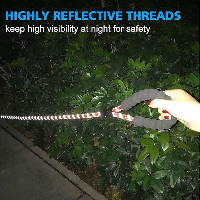 Reflective Dog Collar Padded with Soft Neoprene Breathable Adjustable Nylon Dog Collars for Small Medium Large Dogs (Large (Pack of 1), Red Plaid Collar+Leash)