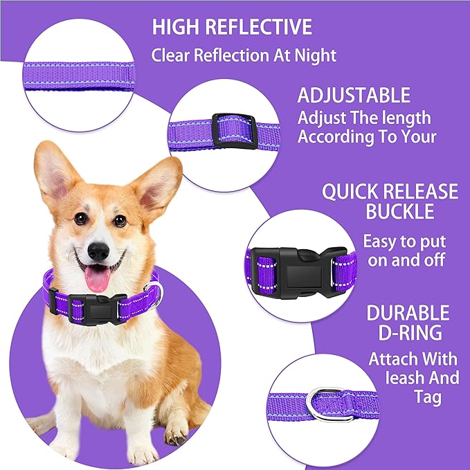 Reflective Dog Collar with Safety Locking Buckle, Adjustable Soft Breathable Nylon Collars for Small, Medium and Large Dogs(Collar+Leash S Width 5/8" Purple)