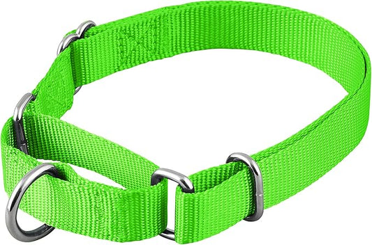 Native Pup Martingale Dog Collar, Adjustable for Small, Medium, Large pet and Puppies Accessories, Cute Colors for Male, Female, Boy, Girl, Puppy (Medium, Neon)