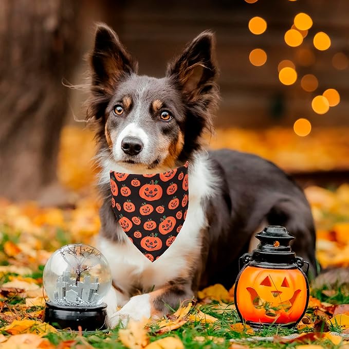 ADOGGYGO 4 Pack Halloween Dog Bandana, Pumpkin Ghost Dog Scarf Bib, Pet Halloween Bandanas Costume Accessories for Large X-Large Dogs (X-Large)