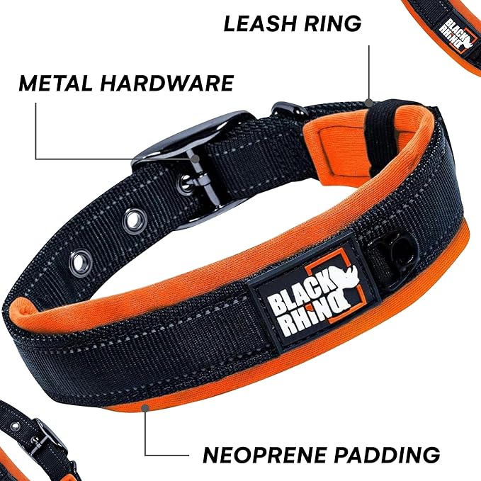 Black Rhino - The Comfort Collar Ultra Soft Neoprene Padded Dog Collar for All Breeds - Heavy Duty Adjustable Reflective Weatherproof (Small, Orange/Bl)