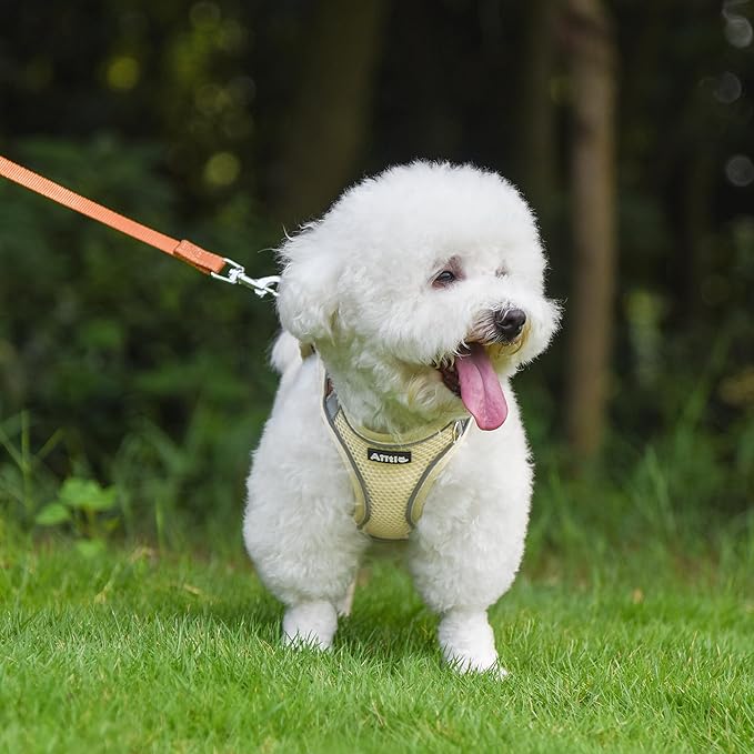 Aiitle Soft Dog Harness and Leash Set - Pet Supply No Pull, Step in Adjustable Dog Harness with Padded Vest for Hot Weather, Easy to Put on Medium Dogs Beige L