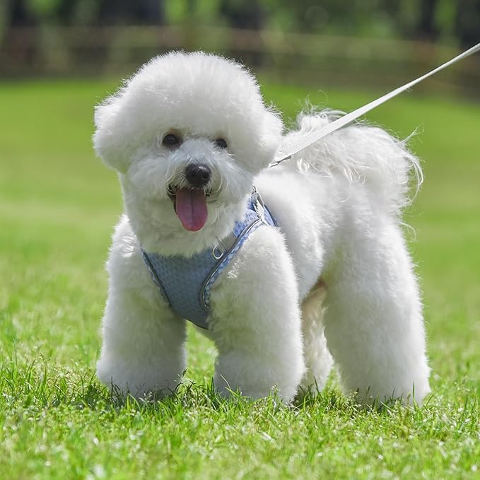 Soft Dog Harness and Leash Set for Walking, Summer Step in Vest Harness, Reflective Bands, Ultra Thin Breathable Pet Supplies, for Extra Small Dogs and House Cats Lavender XS