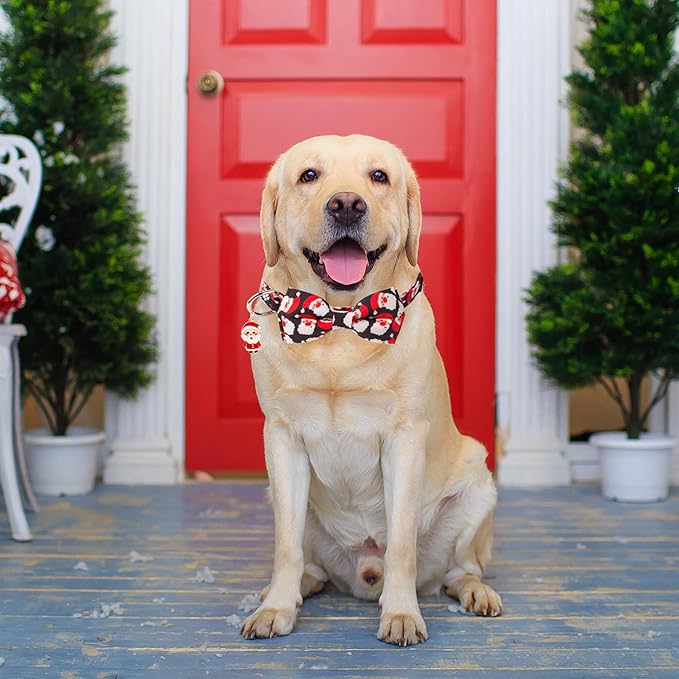 ADOGGYGO Christmas Dog Collar with Detachable Bowtie, Adjustable Red Santa Pet Christmas Bow Collars for Small Medium Large Dogs (Large)