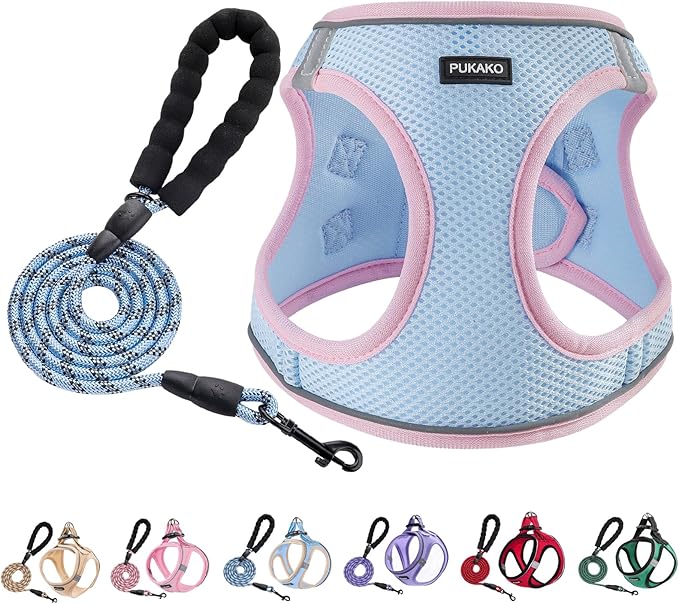 Dog Harness for Small Dogs No Pull, Puppy Harness and Leash Set, Easy Walk Dog Harness for Walking, Blue& Pink, S