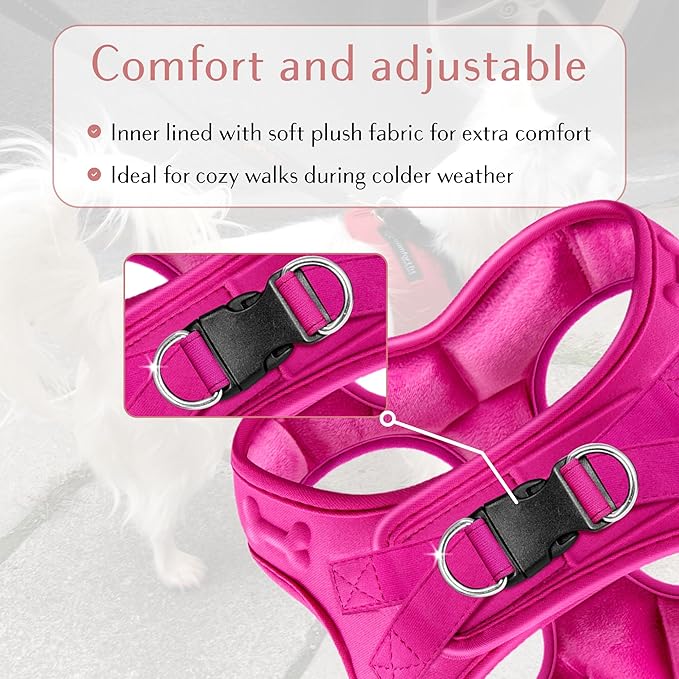 Comfort fit Step-in Dog & Puppy Harness - Comfortable All Weather Dog Vest Harness: Adjustable, Soft Padded, Easy to Put-on for Small, Medium-Sized Dogs.