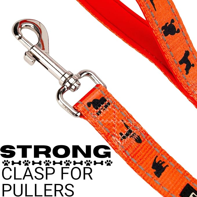 EcoBark Dog Leash - Soft & Reflective Comfort Training Leashes with Padded Handle - Strong Durable Heavy Duty - Training and Pulling for Small, Medium or Large Dogs (Orange)
