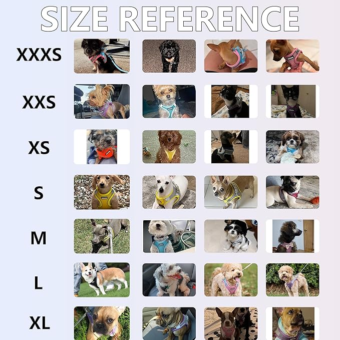 AIITLE Easy Walk Dog Harness and Leash Set - Pet Supply No Pull, Step in Adjustable Dog Harness with Padded Vest for Spring, Dog Harness No Choke Over, Easy to Put on Medium Dogs Blue L