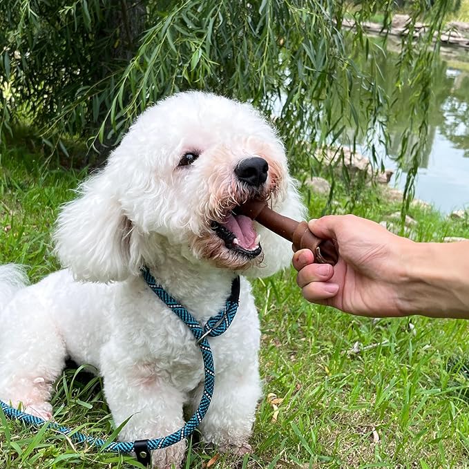 MON2SUN Rawhide Free Dog Treats, Peanut Butter Bones, 5 Inch 12 Count Chews for Small and Medium Dogs, Healthy Bones for Balanced Nutrition (Peanut Butter, 25.4 Ounce -Pack of 1)