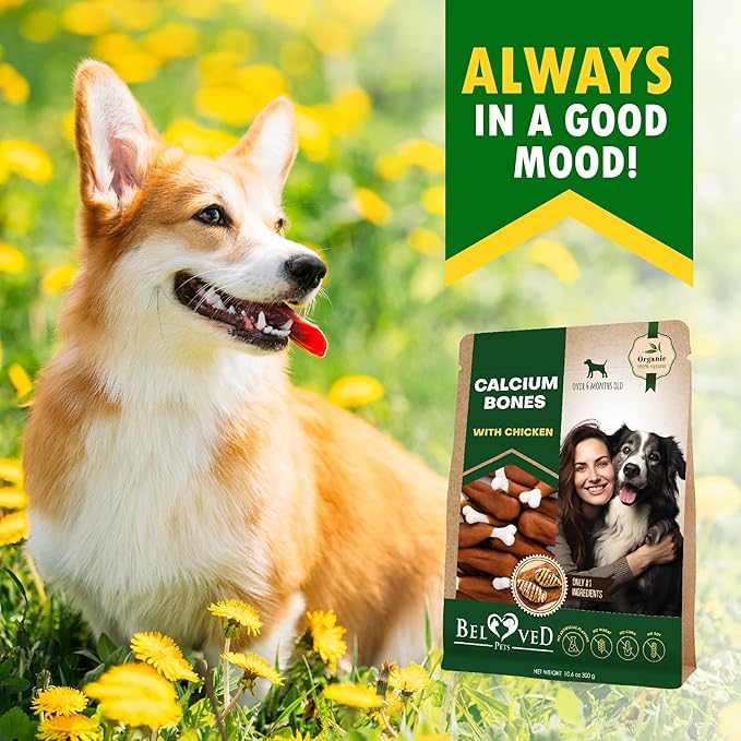 Dog Treats, Calcium Bones Wrapped Chicken & Rawhide Free Chew 11 Oz - Pet Healthy Dried Snacks & Grain Free Meat - Bulk Best Chews for Christmas, Training Small & Large Dogs - Made for USA