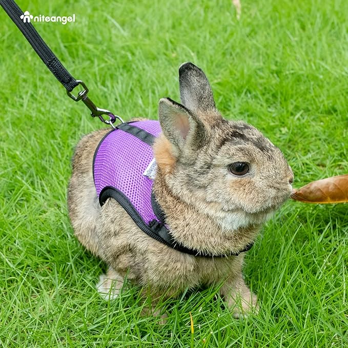 Niteangel Adjustable Soft Harness with Elastic Leash for Rabbits (M, Pink)