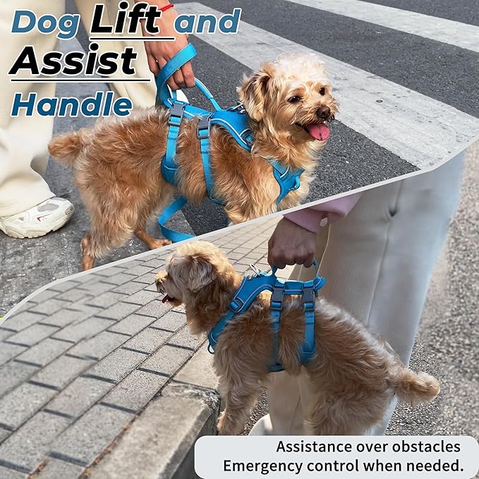 Escape Proof Dog Harness and Leash Set, Lightweight Dog Harness with Lift and Assist Handle, No Pull Reflective Pet Vest for Small Medium Dogs, Ideal for Puppy Walking and Training (Blue, XS)