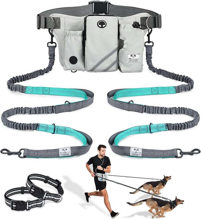 SHINE HAI Retractable Hands Free Dog Leash with Dual Bungees for 2 Dogs, Adjustable Waist Belt, Reflective Stitching Leash for Running Walking Hiking Jogging Biking Black - Gray