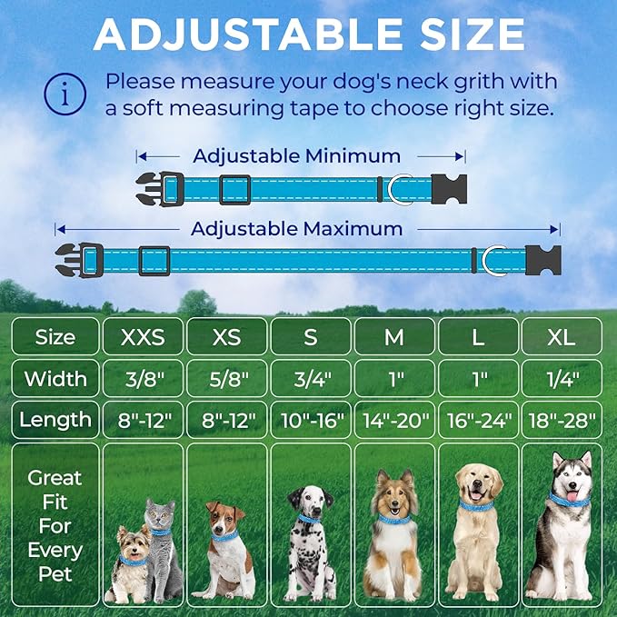 TECEUM Reflective Pet Collar – Sky Blue – M – Extra Soft Padding – Basic Nylon Dog Collar – Quick Release Buckle – Fits Small, Medium and Large Dogs, Puppies, Cats – ESA & Service Dog Options
