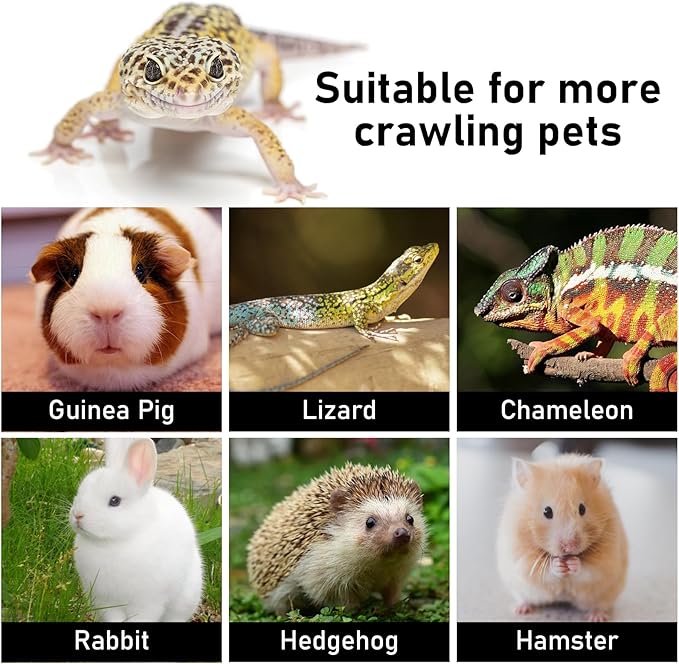 Bearded Dragon Carrier and Leather Leash, Adjustable Harness and Reptile Small Pet Coral Fleece Backpack for Outdoor Travel Walking Rest - Red