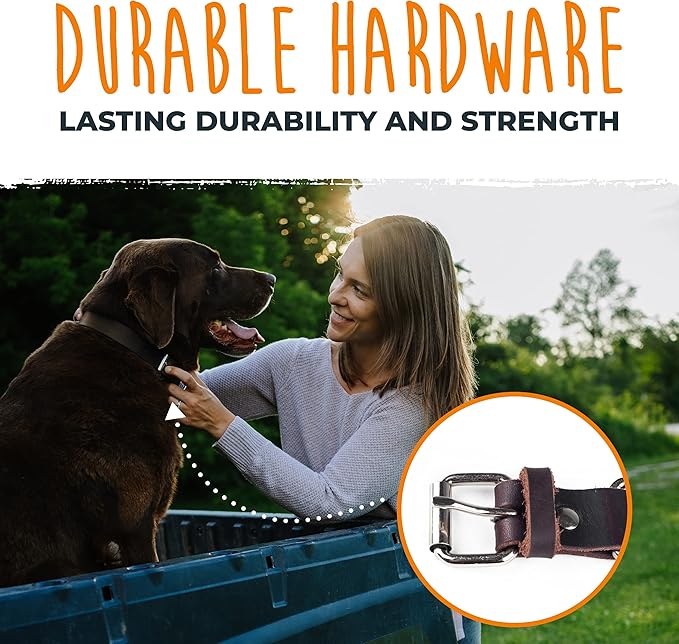 Mighty Paw Leather Dog Collar - Genuine Distressed Leather - Strong Metal Buckle - Ultimate Comfort - Modern Style for All Dogs Breeds - Comfort Puppy Collar - (Medium - Brown)