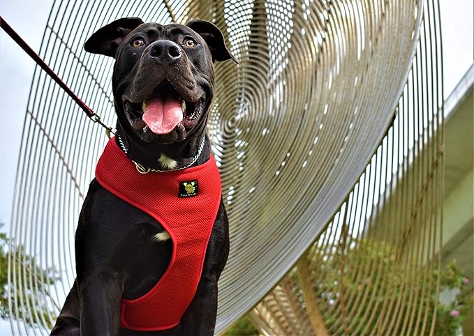 Classic Dog Harness Over The Head No Pull No Choke Design Soft Mesh Padded Breathable Vest for Eco-Friendly Easy Control Walking for Large Puppies Full Size Breeds & Extra Large Dogs (XXL, Red)