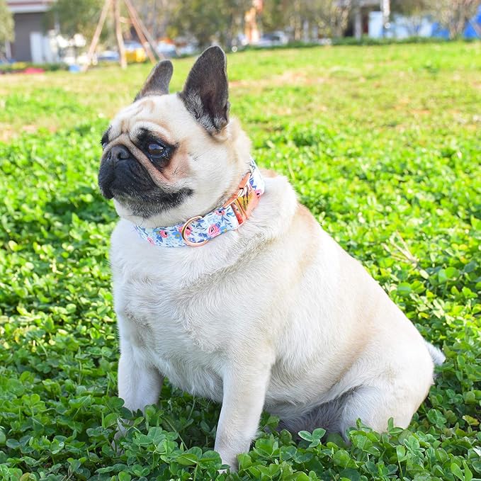 Metal Buckle Dog Collar, Durable Adjustable Dog Collar Soft for Small Medium Large Dogs (M(13-18in), Flower2)