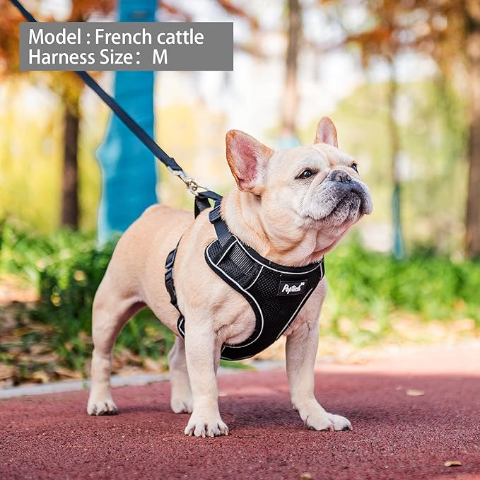 PUPTECK Dog Harness and Leash Set for Small Medium Dogs No Pull, Soft Mesh Adjustable Puppy Cat Harness Reflective at Night, Black XS