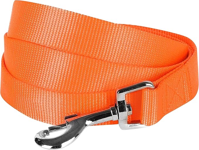 Blueberry Pet Essentials 19 Colors Durable Classic Dog Leash 5 ft x 5/8", Florence Orange, Small, Basic Nylon Leashes for Dogs