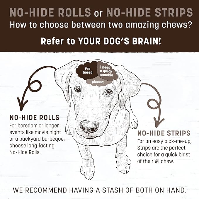Earth Animal No-Hide Rolls Beef Recipe Large Natural Rawhide Alternative Dog Chews | 3 Count Pack of 1