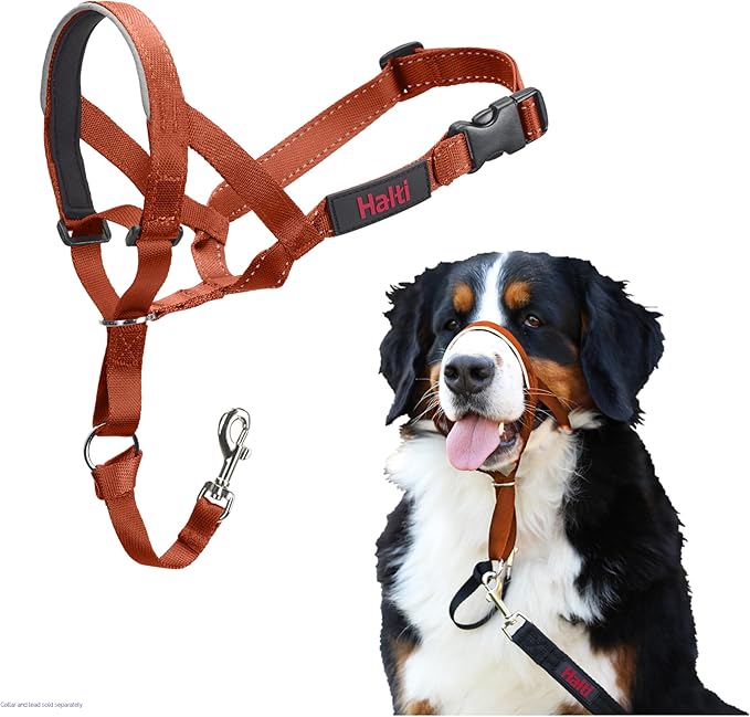 HALTI Headcollar - to Stop Your Dog Pulling on The Leash. Adjustable, Reflective and Lightweight, with Padded Nose Band. Dog Training Anti-Pull Collar for Large Dogs (Size 4, Burnt Orange)
