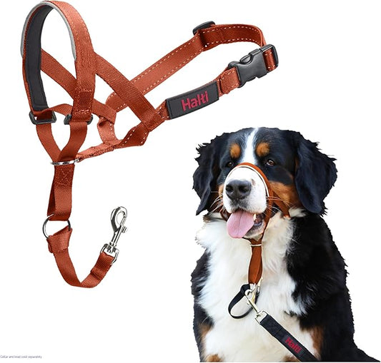 HALTI Headcollar - to Stop Your Dog Pulling on The Leash. Adjustable, Reflective and Lightweight, with Padded Nose Band. Dog Training Anti-Pull Collar for Large Dogs (Size 4, Burnt Orange)